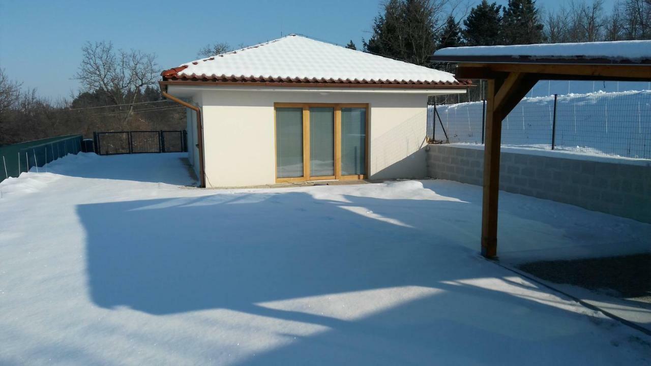 דודינצה Villa Dudinka מראה חיצוני תמונה